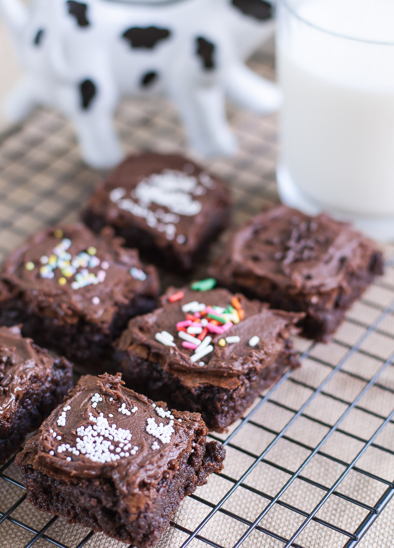 Double Chocolate Brownies: An easy and versatile brownie recipe using ...