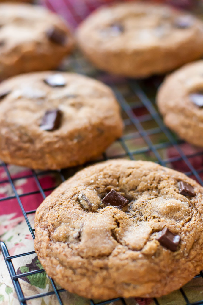 Molasses Ginger Chocolate Cookies Recipe|Country Cupboard Cookies