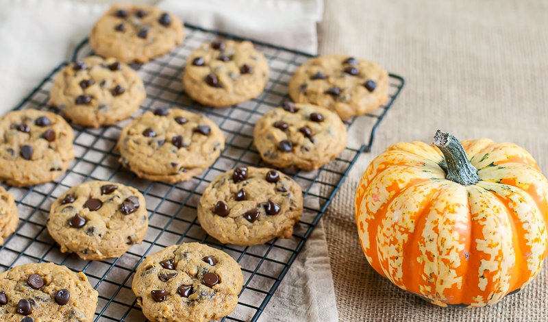 pumpkin-chocolate-chip-cookie